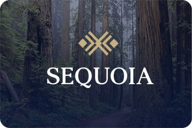 Sequoia Investment Strategy Launched